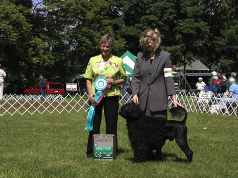 Cosmo BV Sweeps  Greenwich 06.jpg